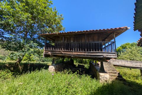 Villa a Salas, Asturias, Salas - € 70.000 | Ref: QPE00335/10606 - foto 29