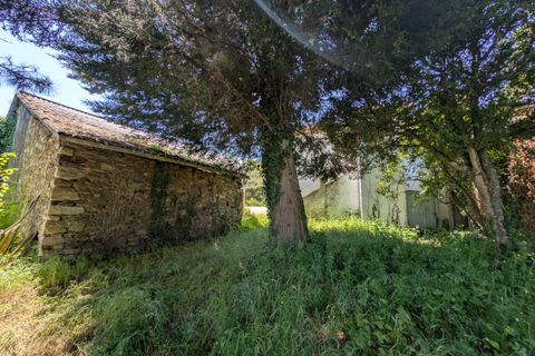 Villa a Salas, Asturias, Salas - € 70.000 | Ref: QPE00335/10606 - foto 38