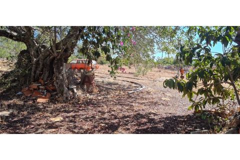 Villa i Alte, Faro, Alte - € 985.000 | Ref: STC2544 - foto 11