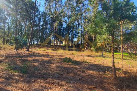 Helårsgrund i Cristelo, Braga, Cristelo - € 115.000 | Ref: RL-119-268 - foto 4