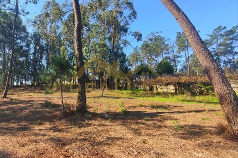 Helårsgrund i Cristelo, Braga, Cristelo - € 115.000 | Ref: RL-119-268 - foto 5