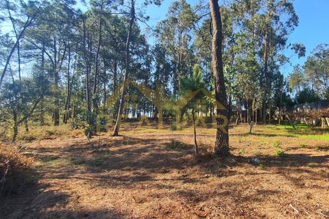 Helårsgrund i Cristelo, Braga, Cristelo - € 115.000 | Ref: RL-119-268 - foto 7