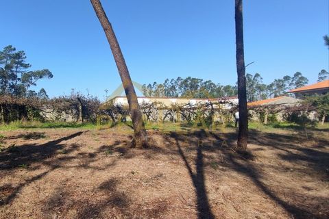 Helårsgrund i Cristelo, Braga, Cristelo - € 115.000 | Ref: RL-119-268 - foto 8