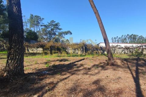 Helårsgrund i Cristelo, Braga, Cristelo - € 115.000 | Ref: RL-119-268 - foto 9