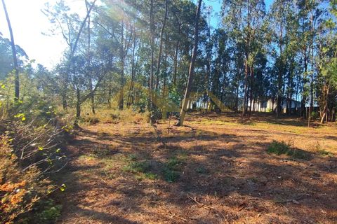 Helårsgrund i Cristelo, Braga, Cristelo - € 115.000 | Ref: RL-119-268 - foto 10