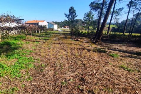 Helårsgrund i Cristelo, Braga, Cristelo - € 115.000 | Ref: RL-119-268 - foto 3