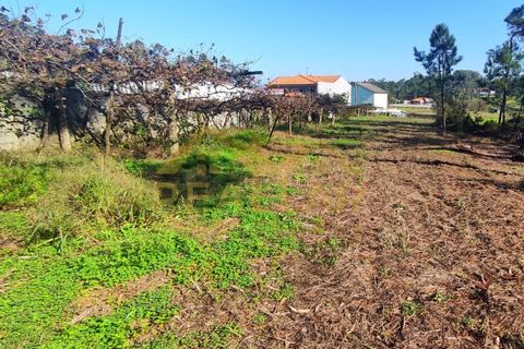 Helårsgrund i Cristelo, Braga, Cristelo - € 115.000 | Ref: RL-119-268 - foto 11