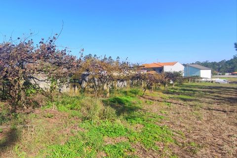 Helårsgrund i Cristelo, Braga, Cristelo - € 115.000 | Ref: RL-119-268 - foto 12