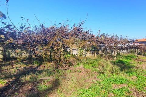 Helårsgrund i Cristelo, Braga, Cristelo - € 115.000 | Ref: RL-119-268 - foto 13