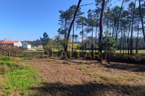 Helårsgrund i Cristelo, Braga, Cristelo - € 115.000 | Ref: RL-119-268 - foto 14