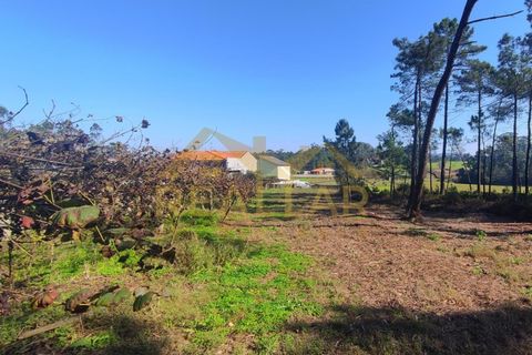 Helårsgrund i Cristelo, Braga, Cristelo - € 115.000 | Ref: RL-119-268 - foto 15