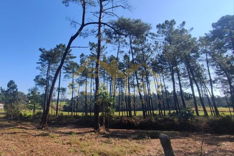 Helårsgrund i Cristelo, Braga, Cristelo - € 115.000 | Ref: RL-119-268 - foto 16