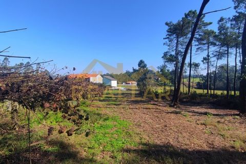 Helårsgrund i Cristelo, Braga, Cristelo - € 115.000 | Ref: RL-119-268 - foto 17
