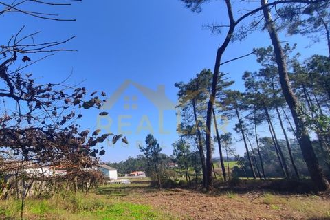 Helårsgrund i Cristelo, Braga, Cristelo - € 115.000 | Ref: RL-119-268 - foto 18