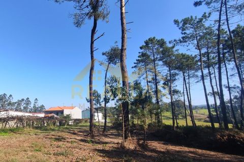 Helårsgrund i Cristelo, Braga, Cristelo - € 115.000 | Ref: RL-119-268 - foto 19