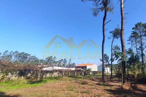 Helårsgrund i Cristelo, Braga, Cristelo - € 115.000 | Ref: RL-119-268 - foto 20
