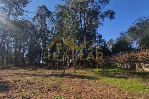 Helårsgrund i Cristelo, Braga, Cristelo - € 115.000 | Ref: RL-119-268 - foto 21