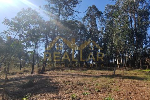 Helårsgrund i Cristelo, Braga, Cristelo - € 115.000 | Ref: RL-119-268 - foto 22