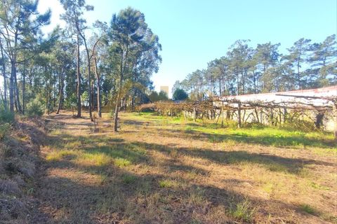Helårsgrund i Cristelo, Braga, Cristelo - € 115.000 | Ref: RL-119-268 - foto 23