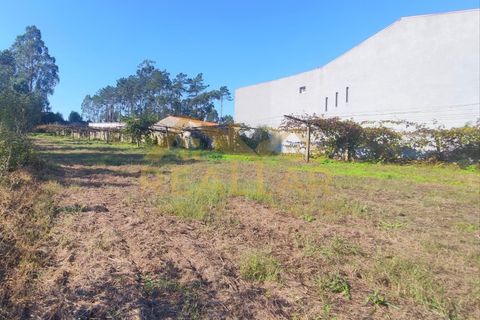 Helårsgrund i Cristelo, Braga, Cristelo - € 115.000 | Ref: RL-119-268 - foto 1