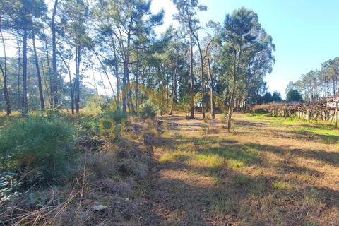 Helårsgrund i Cristelo, Braga, Cristelo - € 115.000 | Ref: RL-119-268 - foto 24