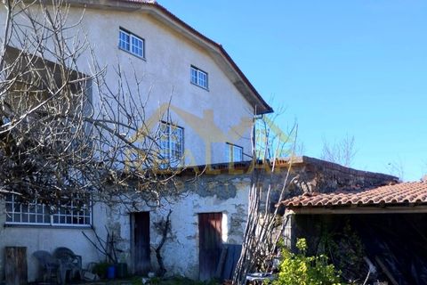Farm i Viseu, Viseu, Viseu - € 650.000 | Ref: RL-750-208 - foto 24