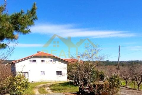 Farm i Viseu, Viseu, Viseu - € 650.000 | Ref: RL-750-208 - foto 25