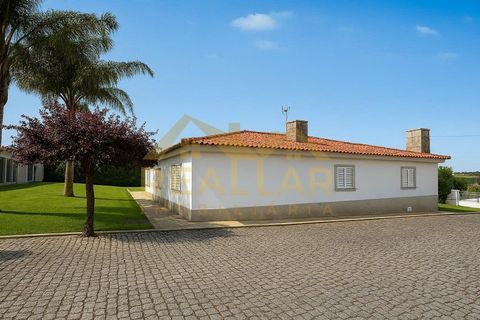 Villa i Barcelos, Braga, Barcelos - € 690.000 | Ref: RL-970-179 - foto 31
