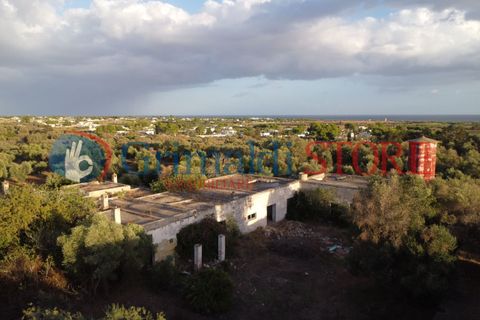 Villa a Manduria, Taranto, Manduria - € 2.300.000 | Ref: 2300CAVALIERE - foto 2