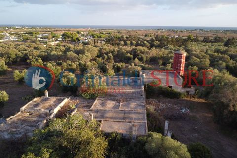 Villa a Manduria, Taranto, Manduria - € 2.300.000 | Ref: 2300CAVALIERE - foto 3