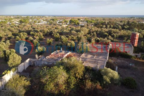 Villa a Manduria, Taranto, Manduria - € 2.300.000 | Ref: 2300CAVALIERE - foto 4