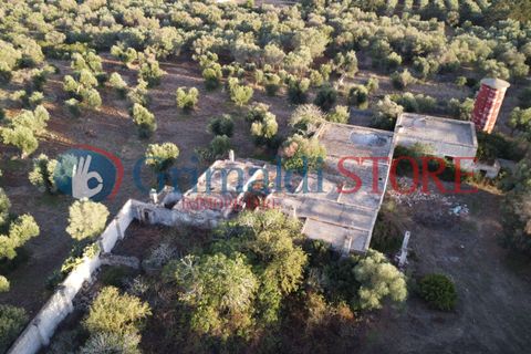Villa a Manduria, Taranto, Manduria - € 2.300.000 | Ref: 2300CAVALIERE - foto 5