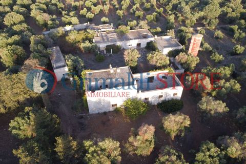 Villa a Manduria, Taranto, Manduria - € 2.300.000 | Ref: 2300CAVALIERE - foto 6