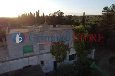 Villa a Manduria, Taranto, Manduria - € 2.300.000 | Ref: 2300CAVALIERE - foto 9