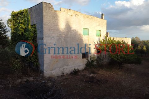 Villa a Manduria, Taranto, Manduria - € 2.300.000 | Ref: 2300CAVALIERE - foto 11