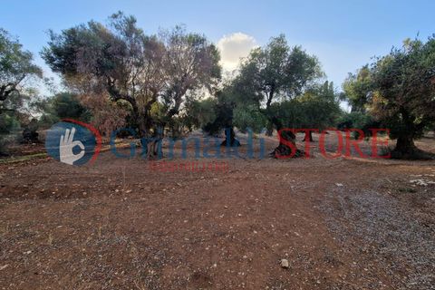 Villa a Manduria, Taranto, Manduria - € 2.300.000 | Ref: 2300CAVALIERE - foto 14