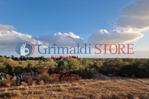 Villa a Manduria, Taranto, Manduria - € 2.300.000 | Ref: 2300CAVALIERE - foto 20