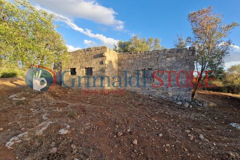 Villa a Manduria, Taranto, Manduria - € 2.300.000 | Ref: 2300CAVALIERE - foto 22