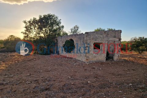 Villa a Manduria, Taranto, Manduria - € 2.300.000 | Ref: 2300CAVALIERE - foto 23
