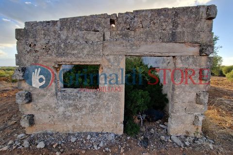 Villa a Manduria, Taranto, Manduria - € 2.300.000 | Ref: 2300CAVALIERE - foto 24