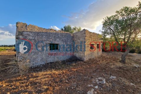 Villa a Manduria, Taranto, Manduria - € 2.300.000 | Ref: 2300CAVALIERE - foto 25