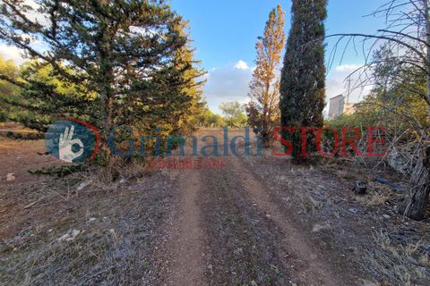 Villa a Manduria, Taranto, Manduria - € 2.300.000 | Ref: 2300CAVALIERE - foto 26