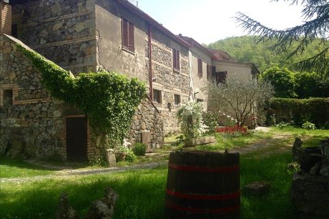 Farm hus i Radicofani, Siena, Radicofani - € 250.000 | Ref: TLCA102 - foto 7