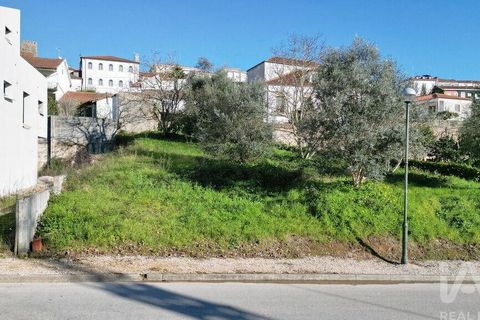 Helårsgrund i Penela, Coimbra, Penela - € 45.000 | Ref: 135945 - foto 9