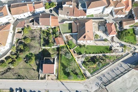 Helårsgrund i Penela, Coimbra, Penela - € 45.000 | Ref: 135945 - foto 13