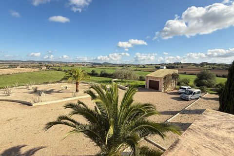 Finca i Algaida, Mallorca, Algaida - € 2.579.000 | Ref: FALC-CoMa-66213 - foto 7