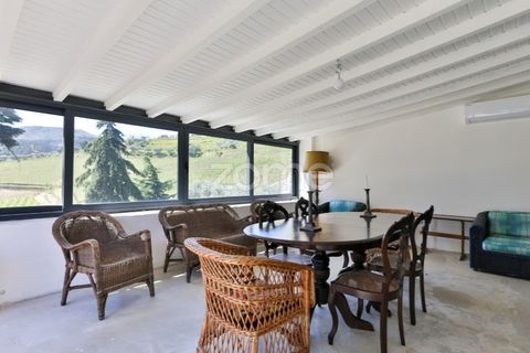 Farm i Tabuaco, Viseu, Tabuaco - € 1.650.000 | Ref: ZMPT567580 - foto 12