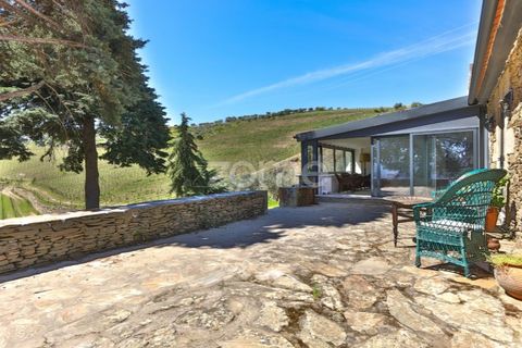 Farm i Tabuaco, Viseu, Tabuaco - € 1.650.000 | Ref: ZMPT567580 - foto 16
