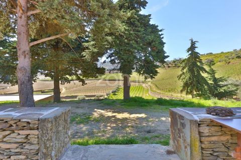 Farm i Tabuaco, Viseu, Tabuaco - € 1.650.000 | Ref: ZMPT567580 - foto 18