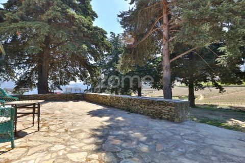 Farm i Tabuaco, Viseu, Tabuaco - € 1.650.000 | Ref: ZMPT567580 - foto 21
